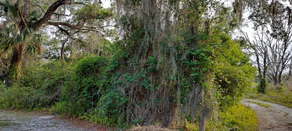 На продажу: $6,500 (0.13 acres)