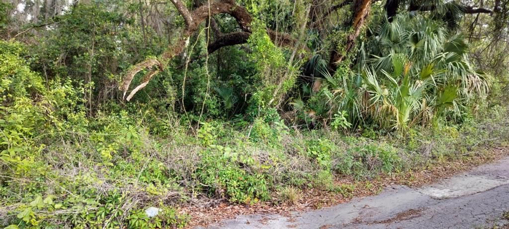 На продажу: $6,500 (0.13 acres)