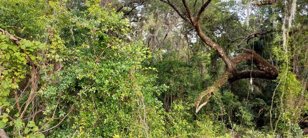 На продажу: $6,500 (0.13 acres)