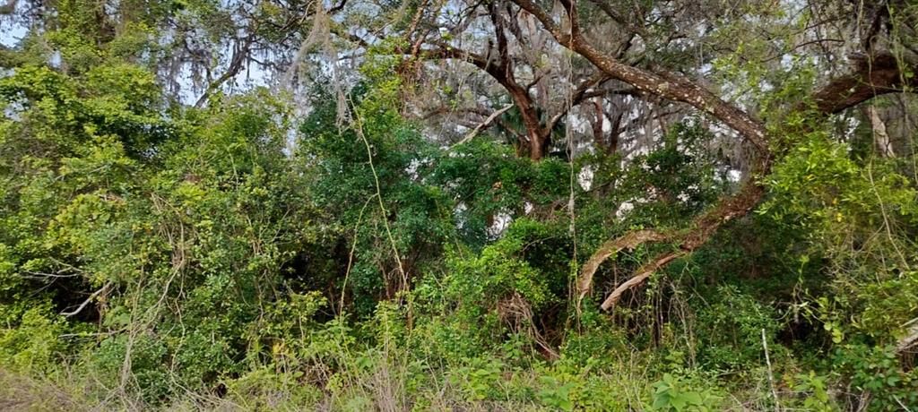 На продажу: $6,500 (0.13 acres)