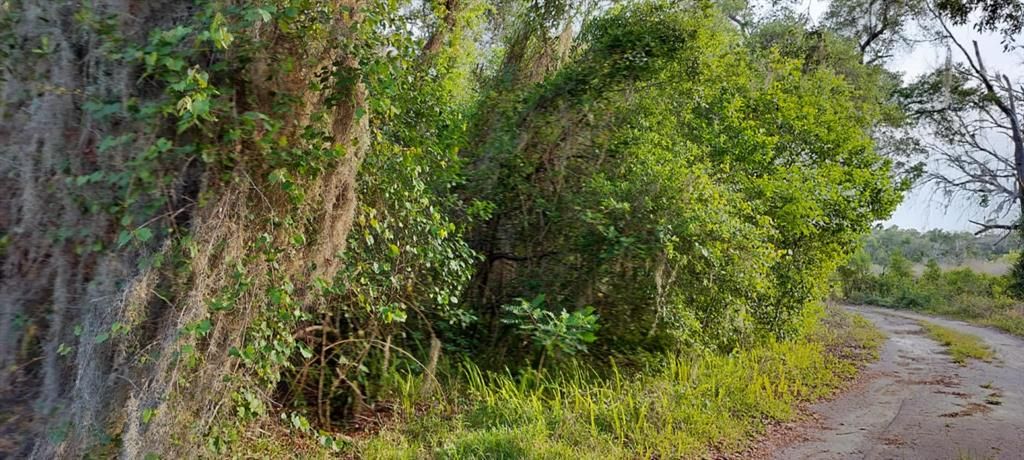 На продажу: $6,500 (0.13 acres)