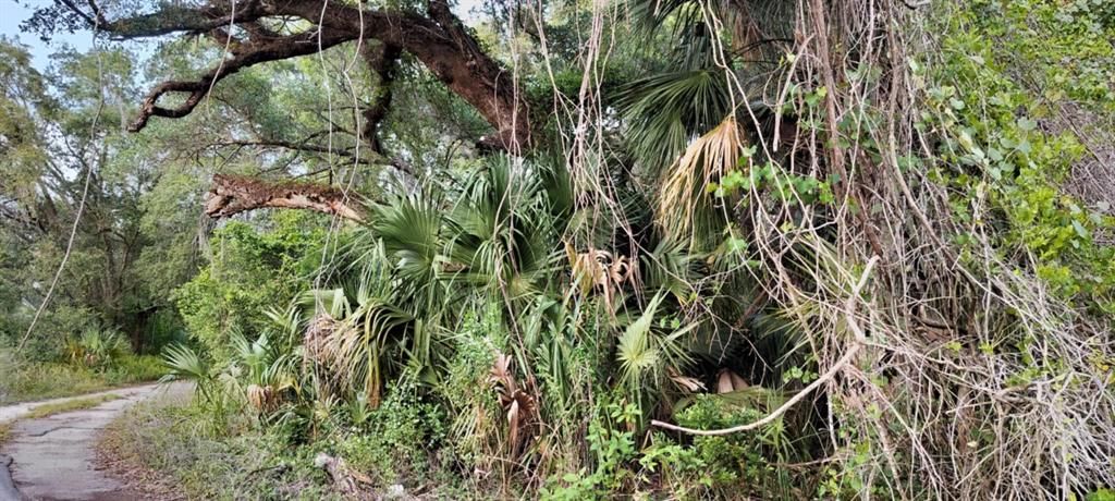 На продажу: $6,500 (0.13 acres)