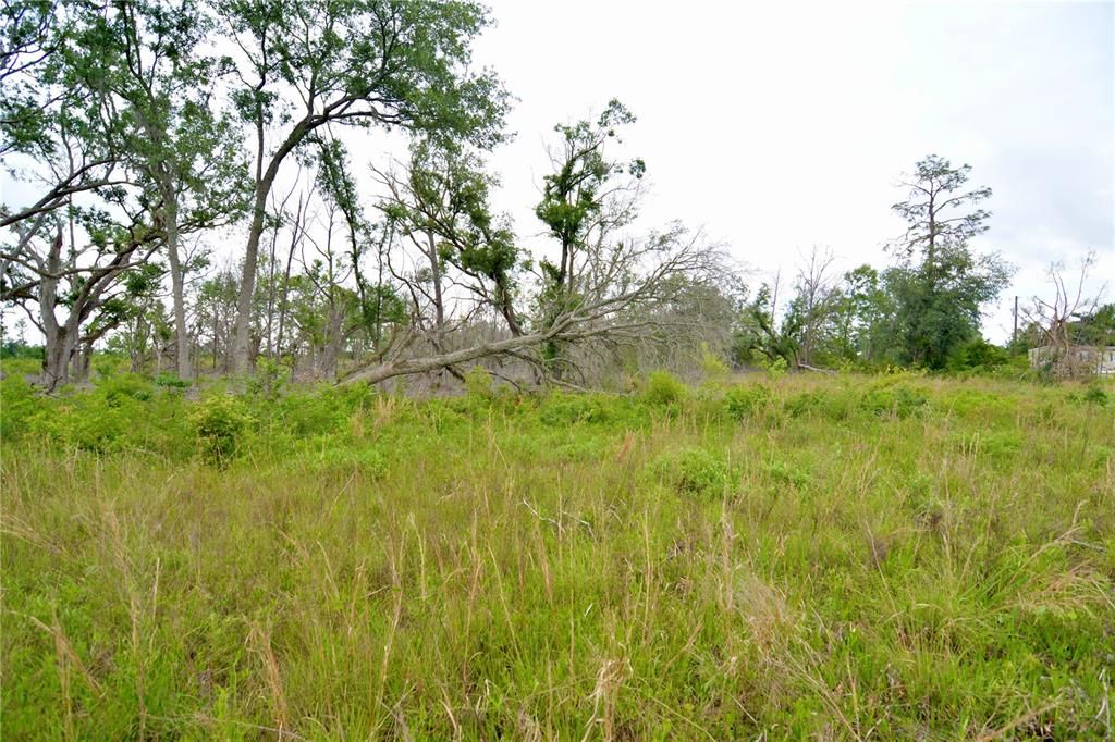 For Sale: $219,990 (28.43 acres)