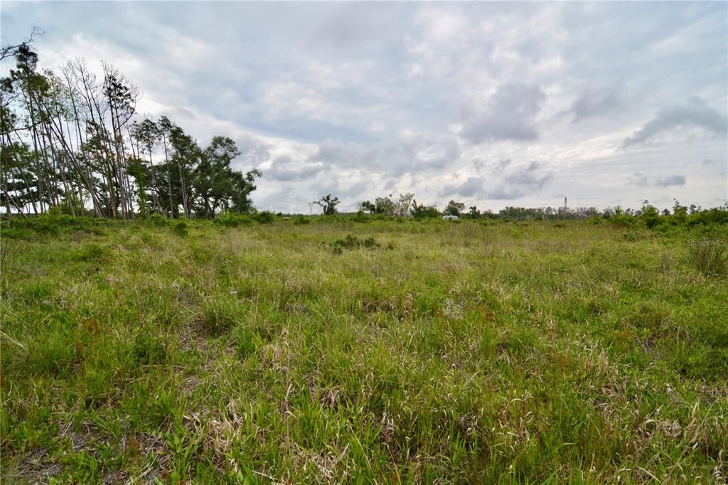 For Sale: $219,990 (28.43 acres)