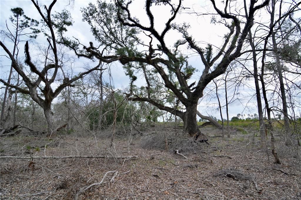 For Sale: $219,990 (28.43 acres)