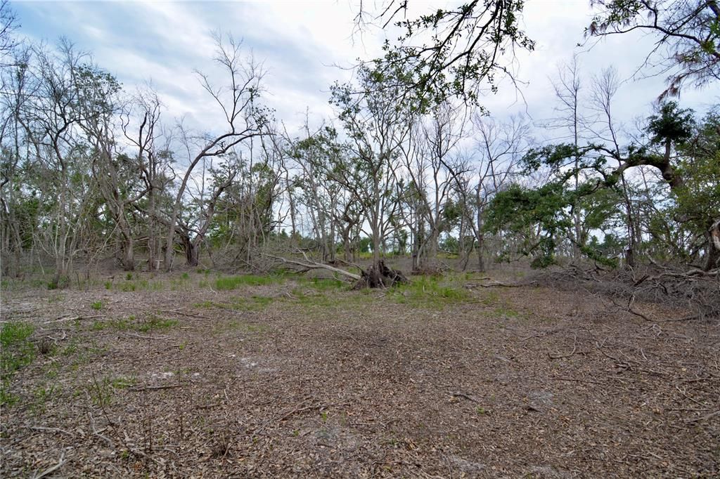 For Sale: $219,990 (28.43 acres)