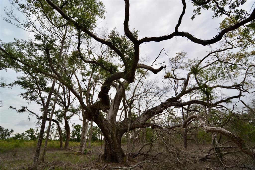 For Sale: $219,990 (28.43 acres)