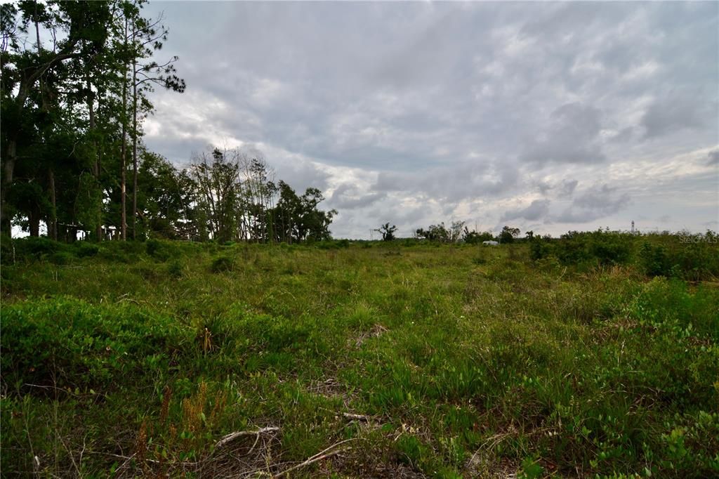 For Sale: $219,990 (28.43 acres)