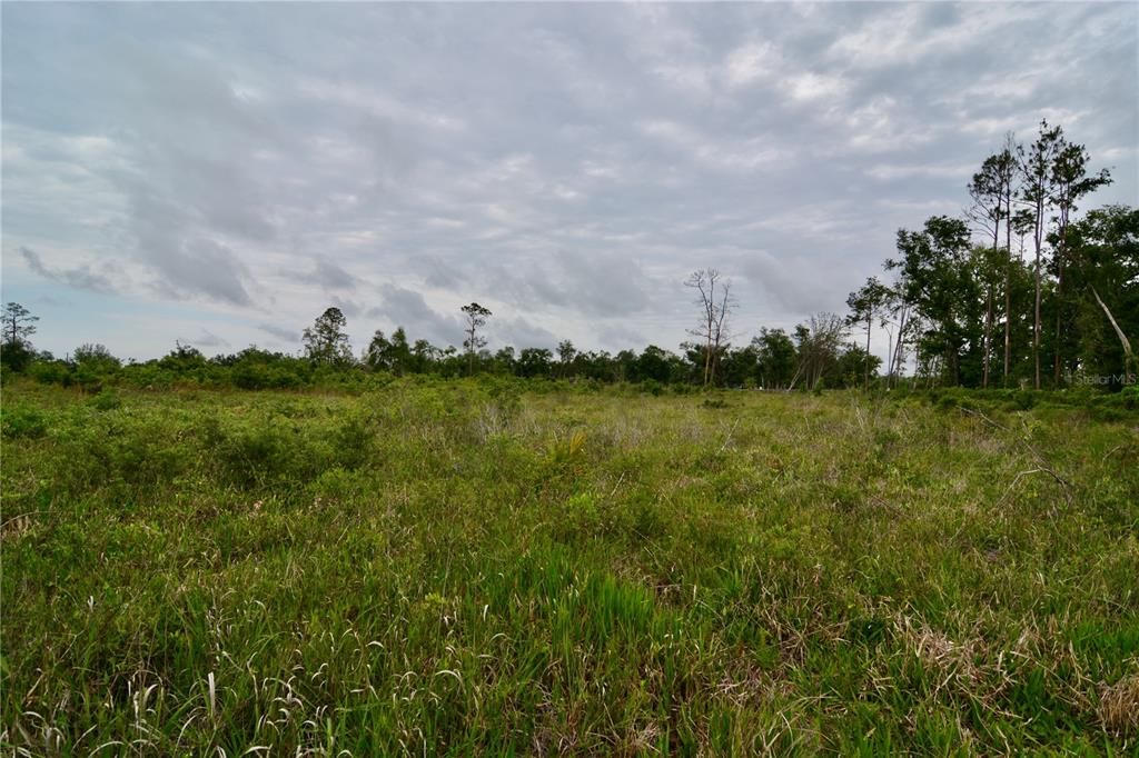 For Sale: $219,990 (28.43 acres)