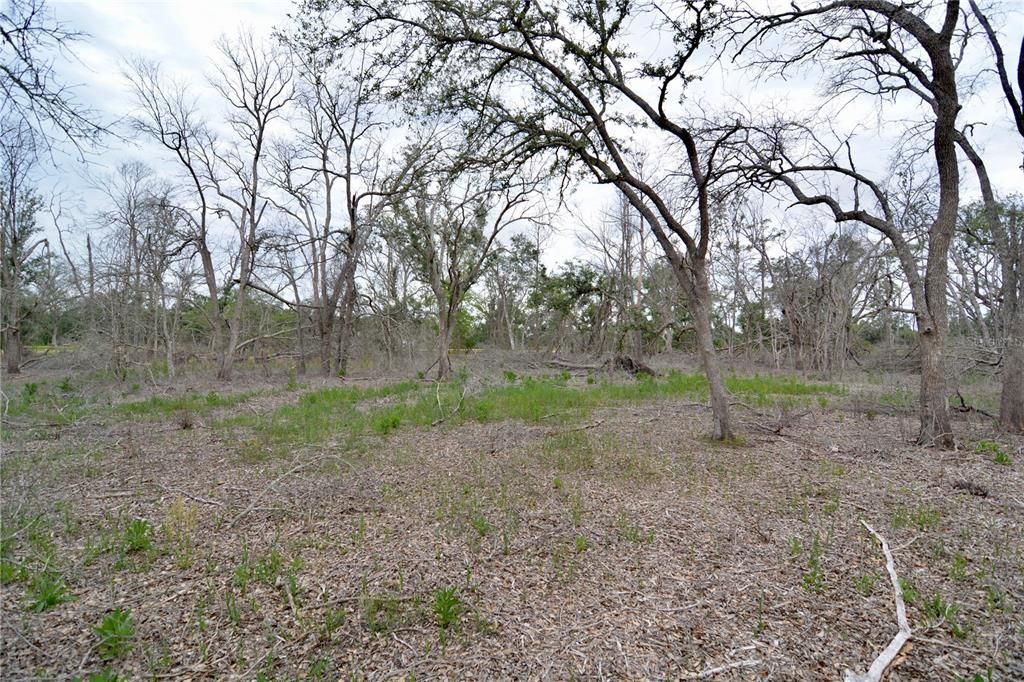 For Sale: $219,990 (28.43 acres)