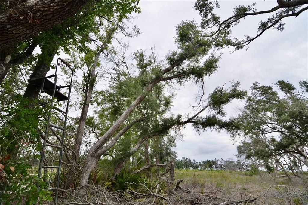 For Sale: $219,990 (28.43 acres)