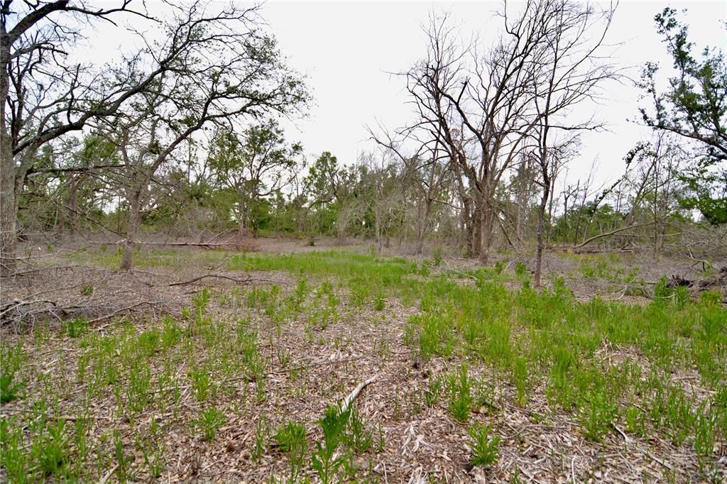For Sale: $219,990 (28.43 acres)