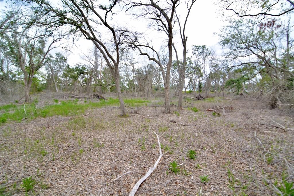 For Sale: $219,990 (28.43 acres)