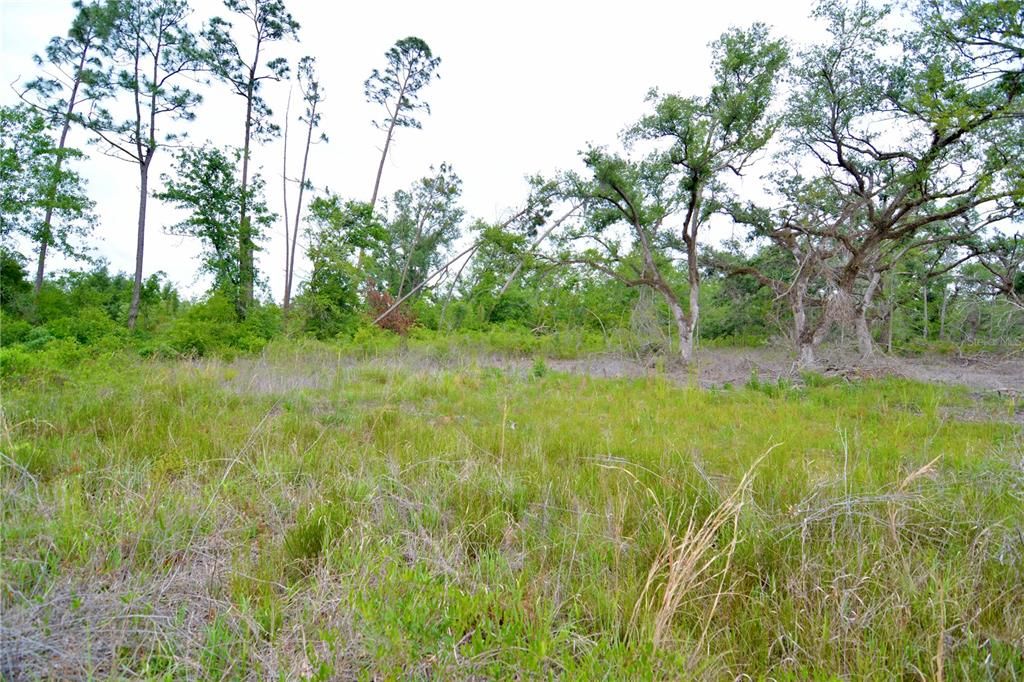 For Sale: $219,990 (28.43 acres)