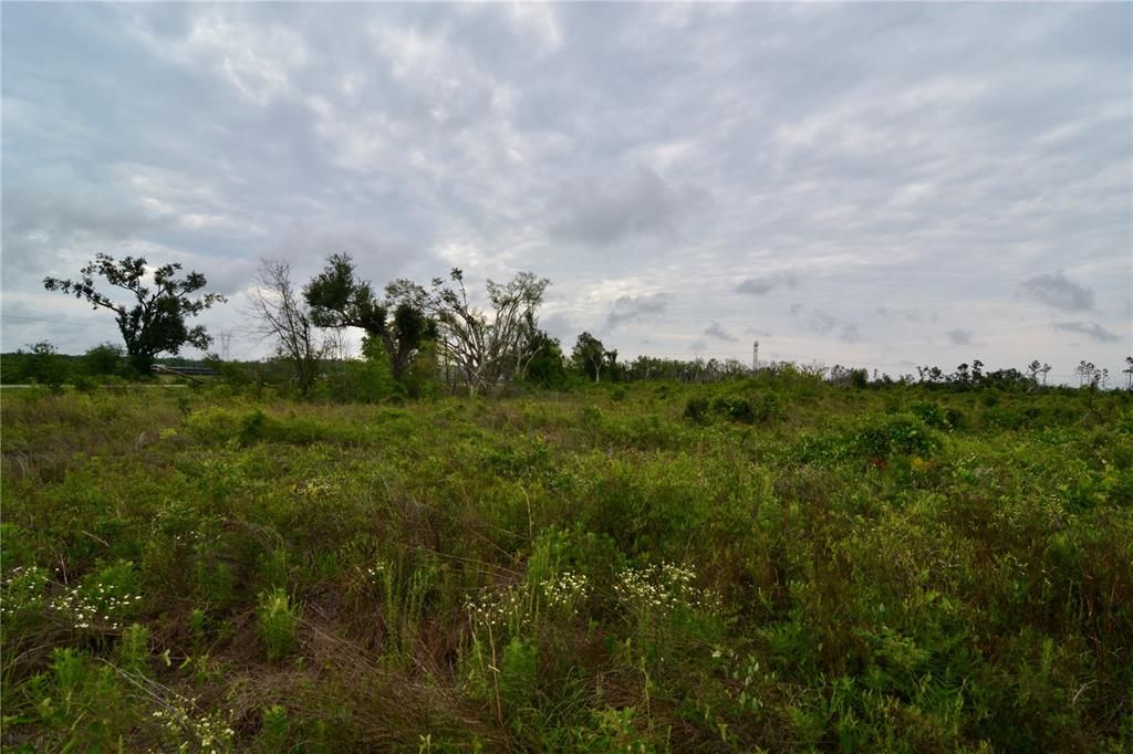 For Sale: $219,990 (28.43 acres)