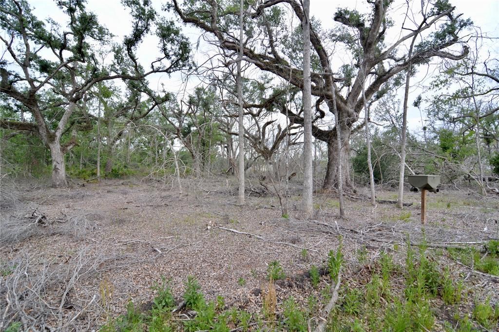 For Sale: $219,990 (28.43 acres)