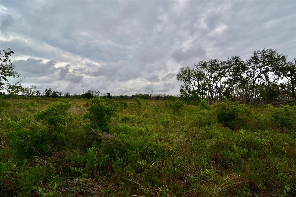 For Sale: $219,990 (28.43 acres)