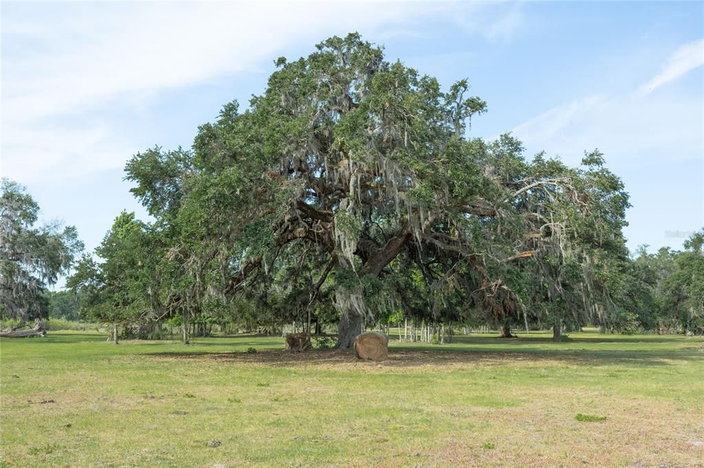 待售: $712,500 (25.42 acres)