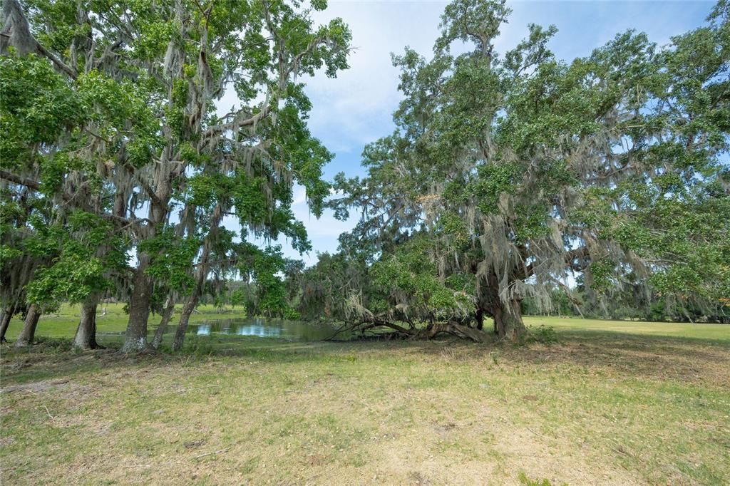 待售: $712,500 (25.42 acres)