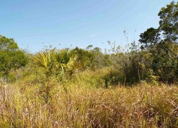 For Sale: $13,000 (0.34 acres)