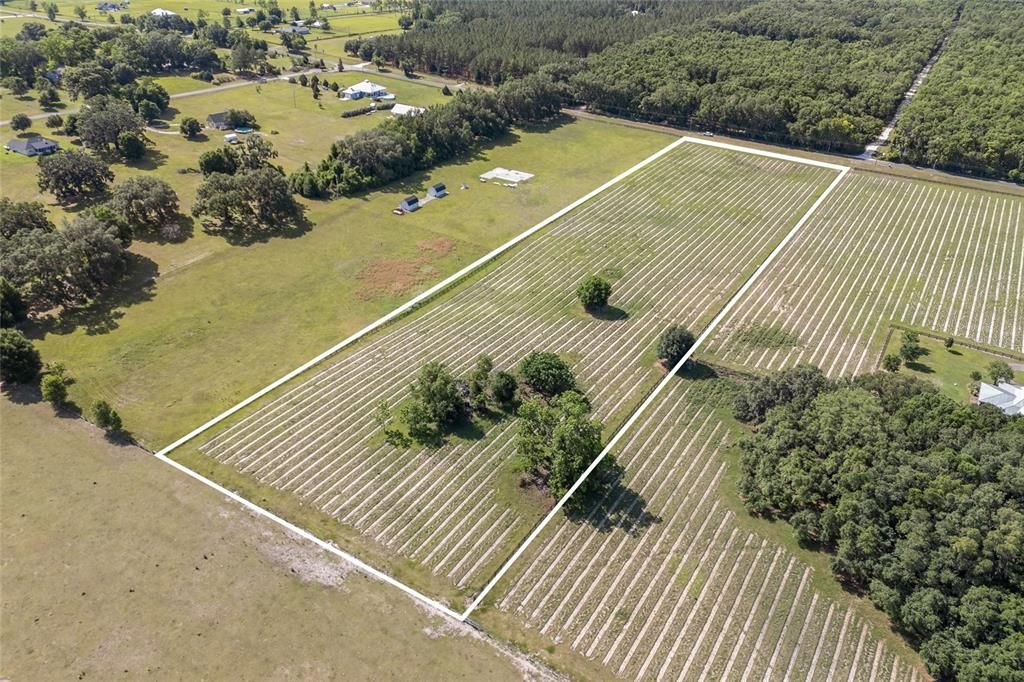 En Venta: $259,000 (8.67 acres)