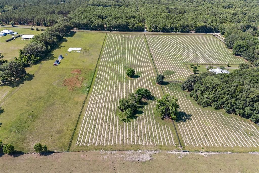 En Venta: $259,000 (8.67 acres)