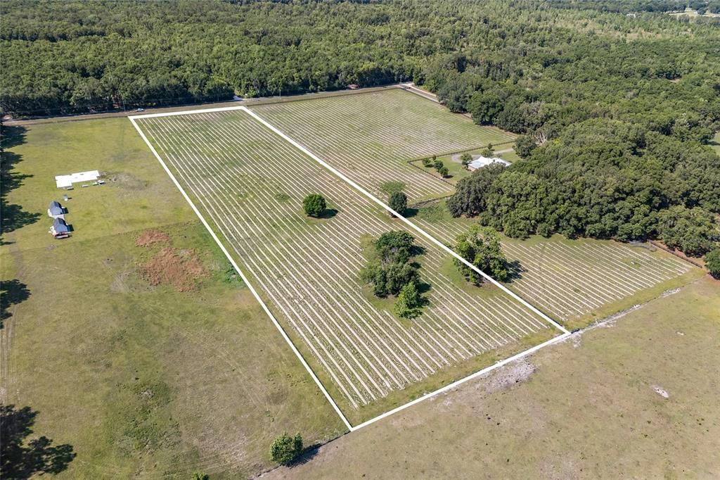 En Venta: $259,000 (8.67 acres)