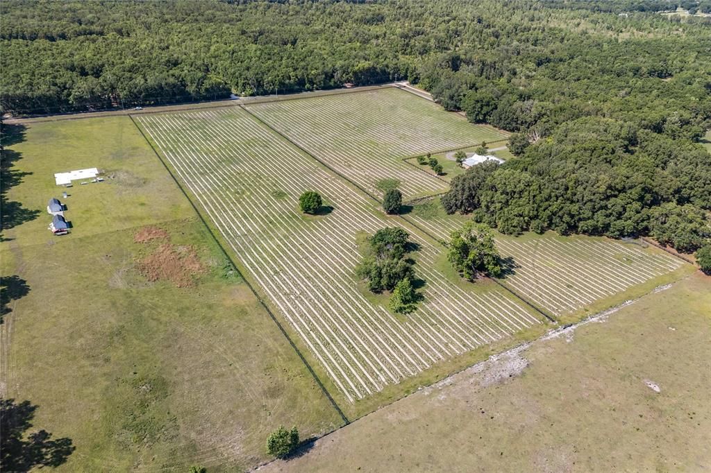 En Venta: $259,000 (8.67 acres)