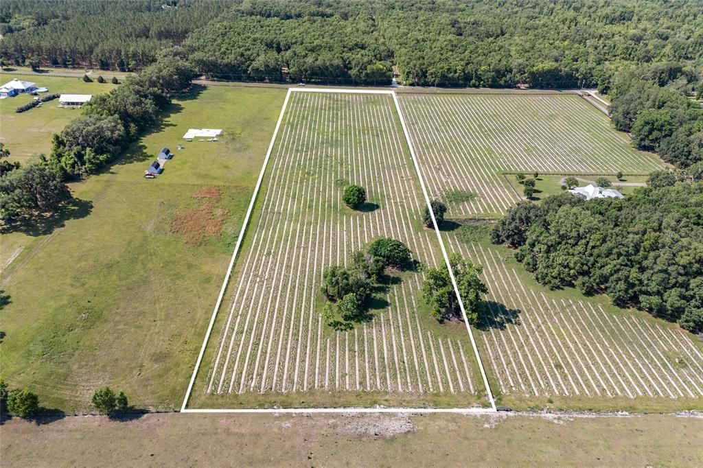 En Venta: $259,000 (8.67 acres)