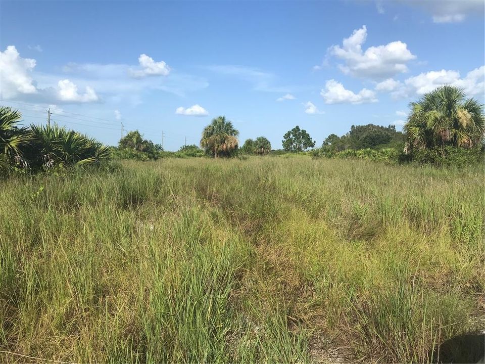 For Sale: $1,970,000 (70.74 acres)