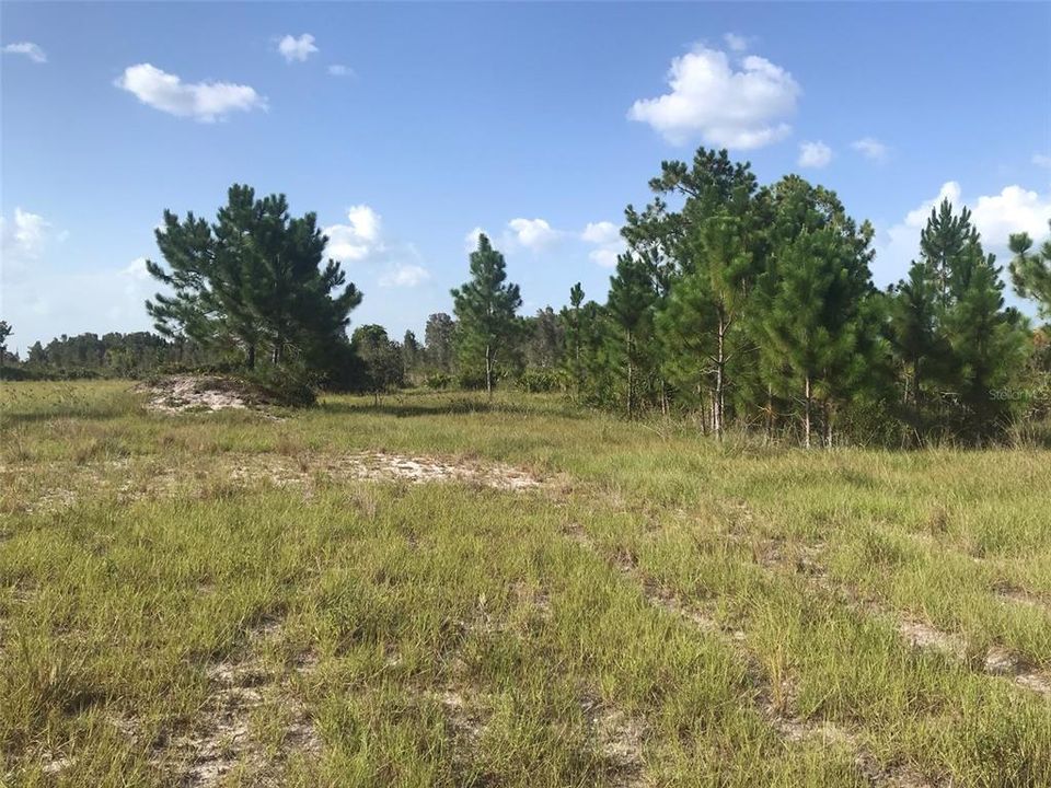 For Sale: $1,970,000 (70.74 acres)