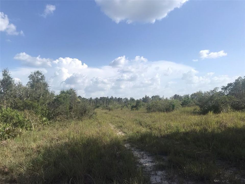 For Sale: $1,970,000 (70.74 acres)