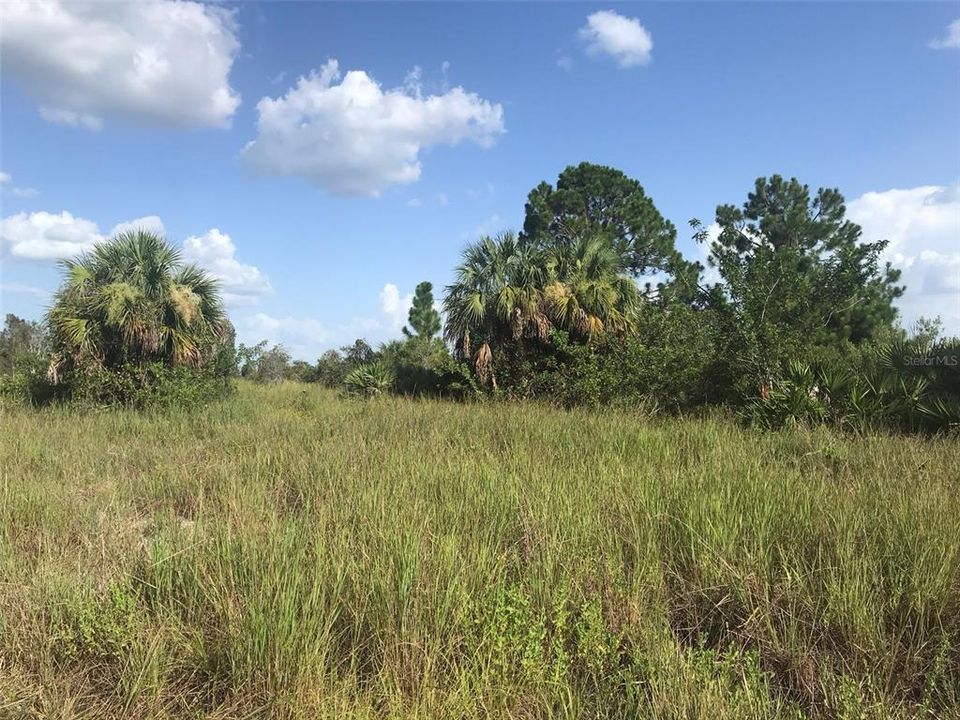 For Sale: $1,970,000 (70.74 acres)