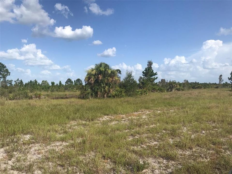 For Sale: $1,970,000 (70.74 acres)