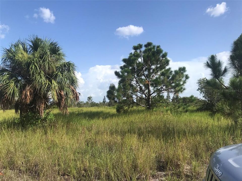 For Sale: $1,970,000 (70.74 acres)