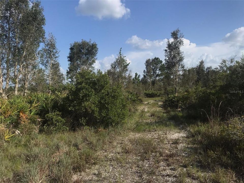 For Sale: $1,970,000 (70.74 acres)