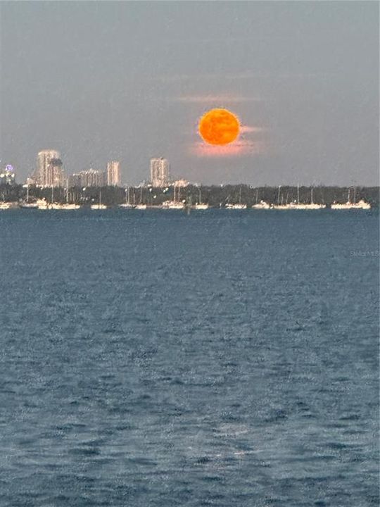 En Venta: $1,700,000 (0.25 acres)