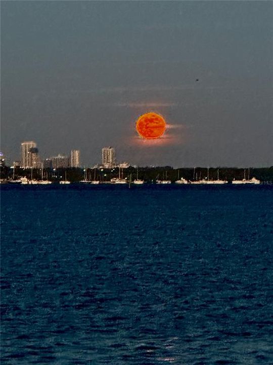 En Venta: $1,700,000 (0.25 acres)