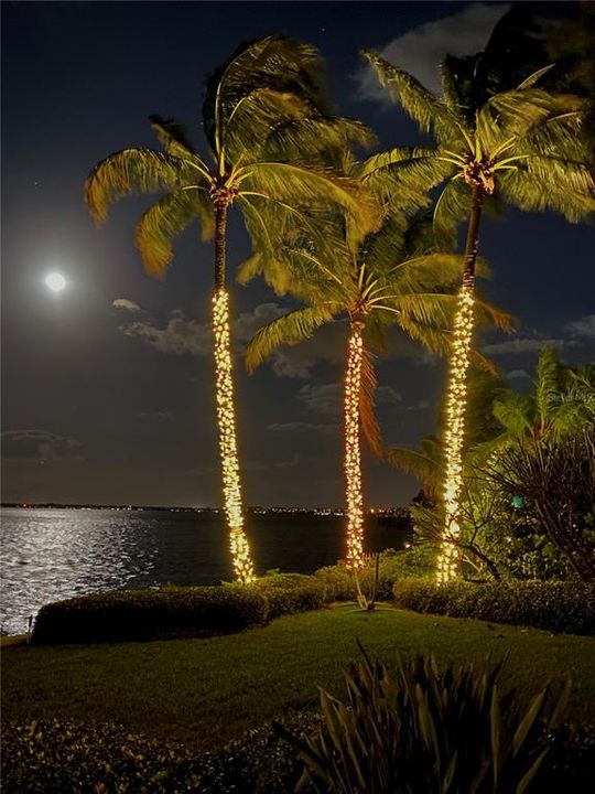 En Venta: $1,700,000 (0.25 acres)