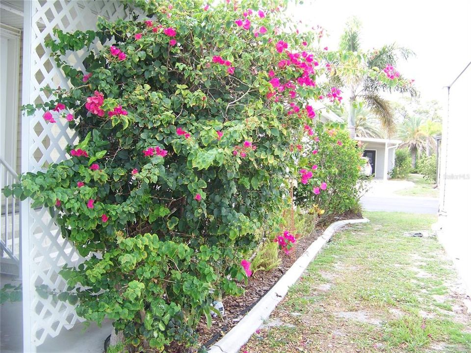 En Venta: $217,900 (3 camas, 2 baños, 1540 Pies cuadrados)