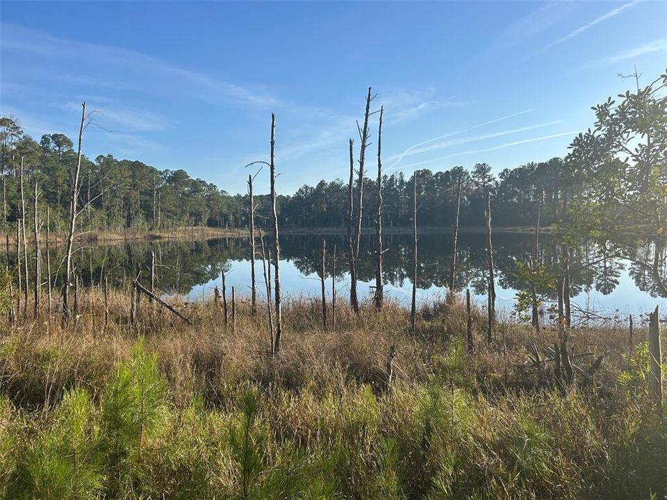 На продажу: $104,900 (6.01 acres)