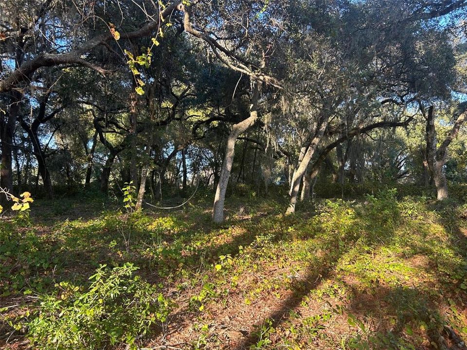 На продажу: $104,900 (6.01 acres)