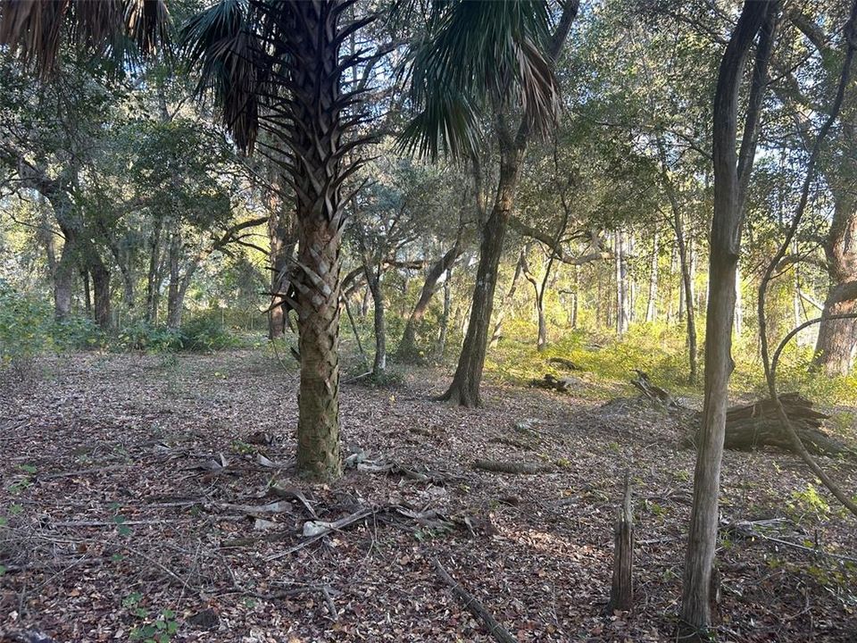 На продажу: $104,900 (6.01 acres)