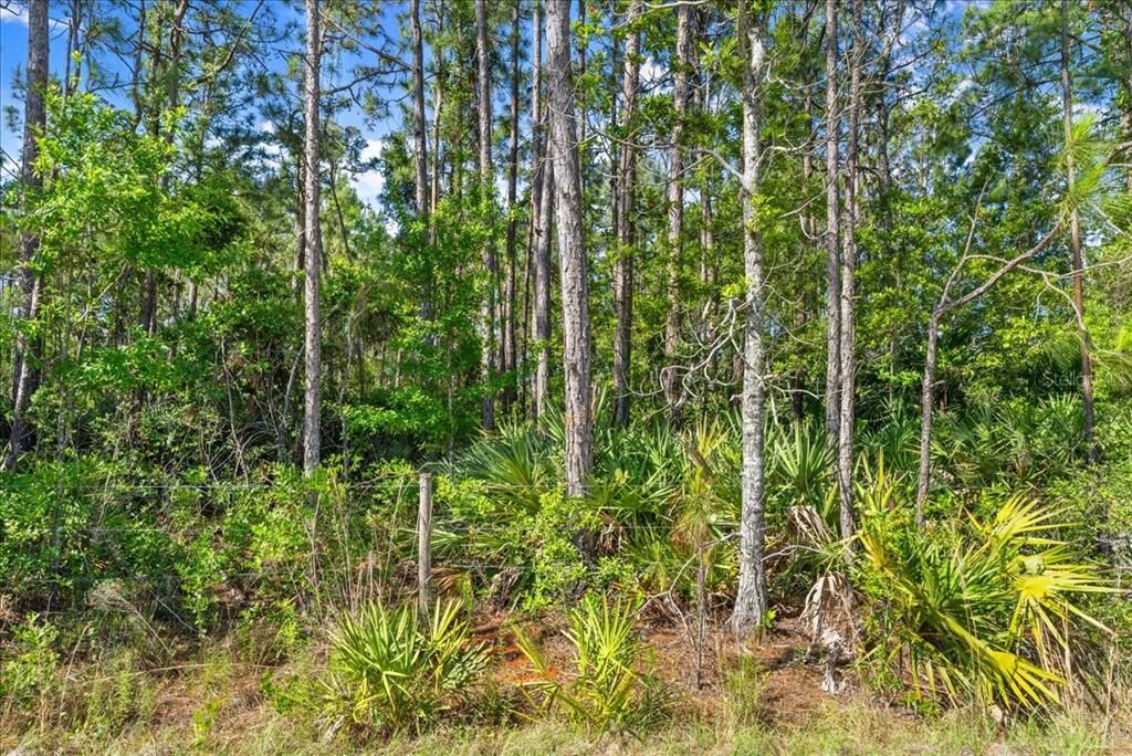 En Venta: $1,750,000 (1.88 acres)