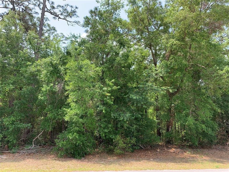 Recently Sold: $60,000 (1.06 acres)