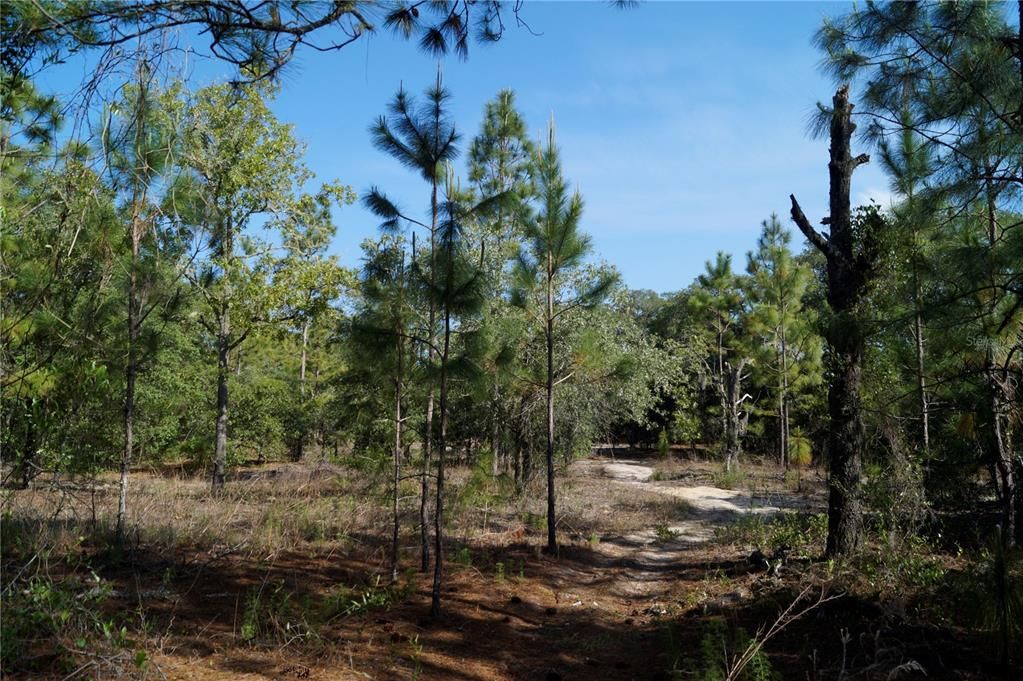 Active With Contract: $23,900 (0.99 acres)
