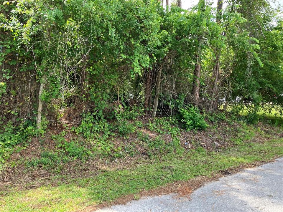 合同活跃: $75,000 (0.23 acres)