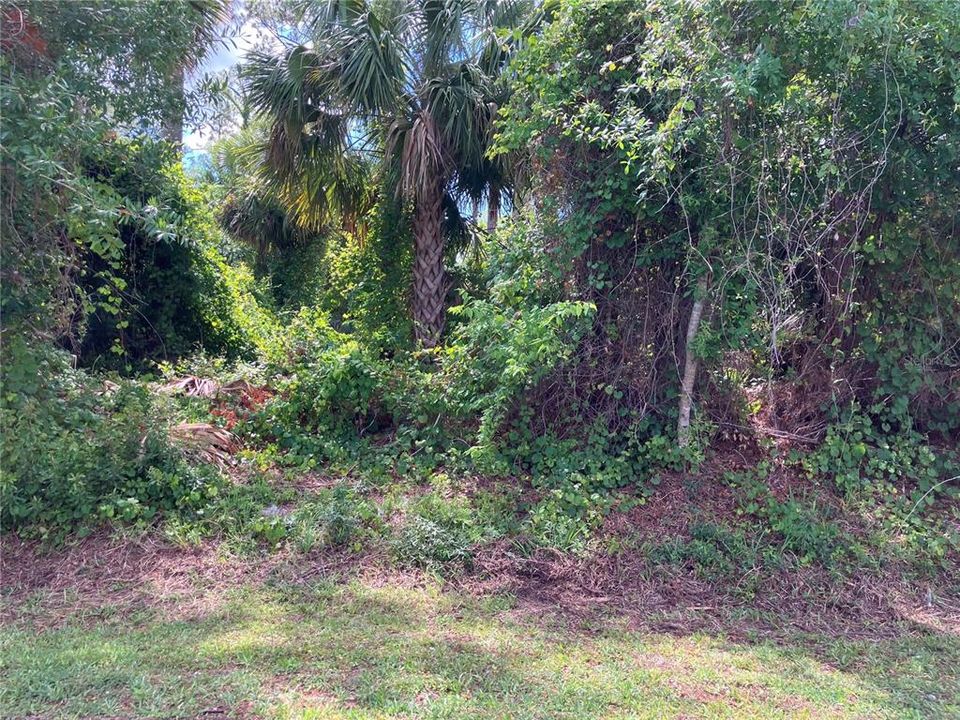 合同活跃: $75,000 (0.23 acres)