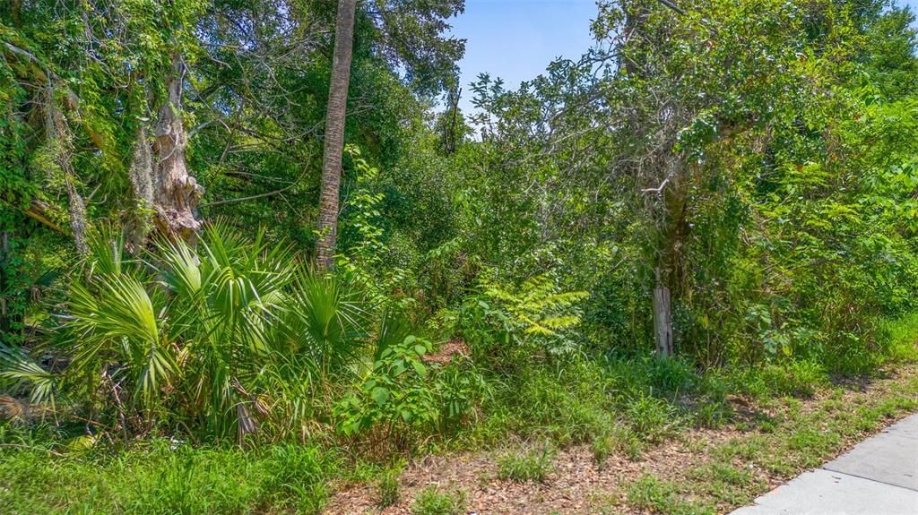 Недавно продано: $40,000 (0.14 acres)