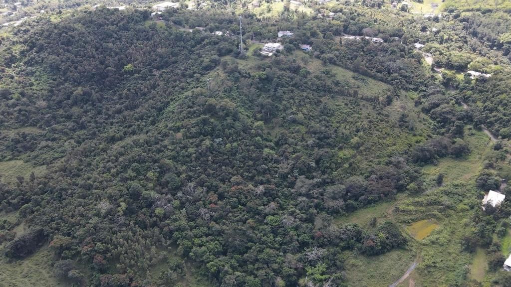 待售: $269,000 (21.26 acres)